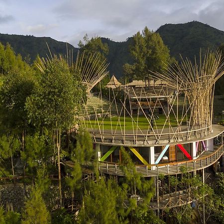 Pagupon Bromo Budget Lodge Exteriér fotografie