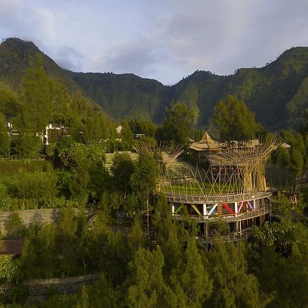 Pagupon Bromo Budget Lodge Exteriér fotografie