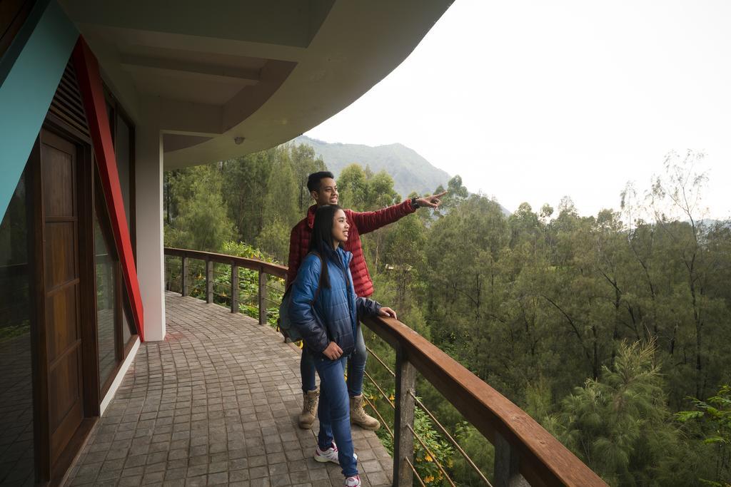 Pagupon Bromo Budget Lodge Exteriér fotografie