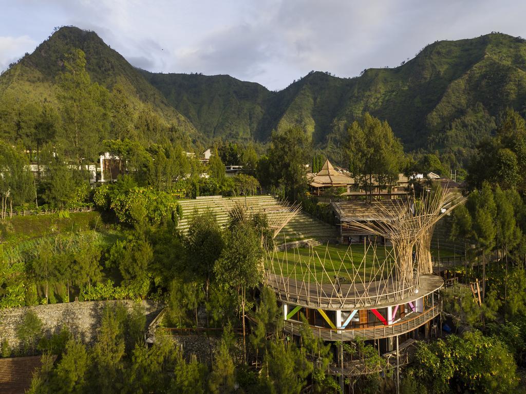 Pagupon Bromo Budget Lodge Exteriér fotografie